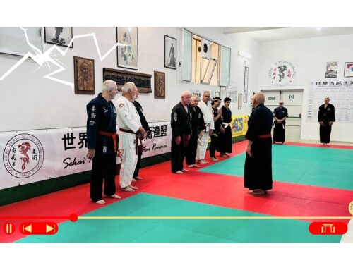Seminario internazionale arti marziali a Trapani
