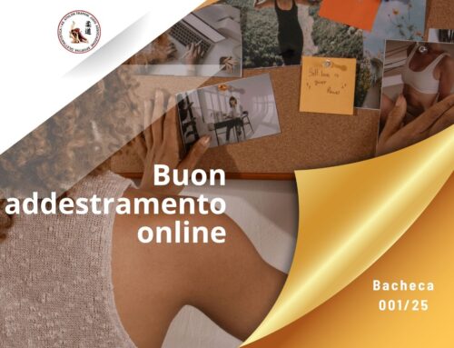 Online il nuovo sito web ufficiale e il canale YouTube Casa Athlon – Avviso 001/25