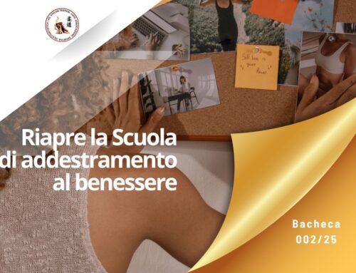 Ripartono i corsi di Judo e Ju Jitsu e di Shiatsu e Yoga alla ASD Athlon Trapani Judo – Avviso 002-25